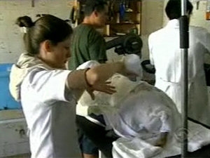 Cadela está internada após ter o corpo queimado em Palhoça (SC) | Foto: Reprodução/RBSTV