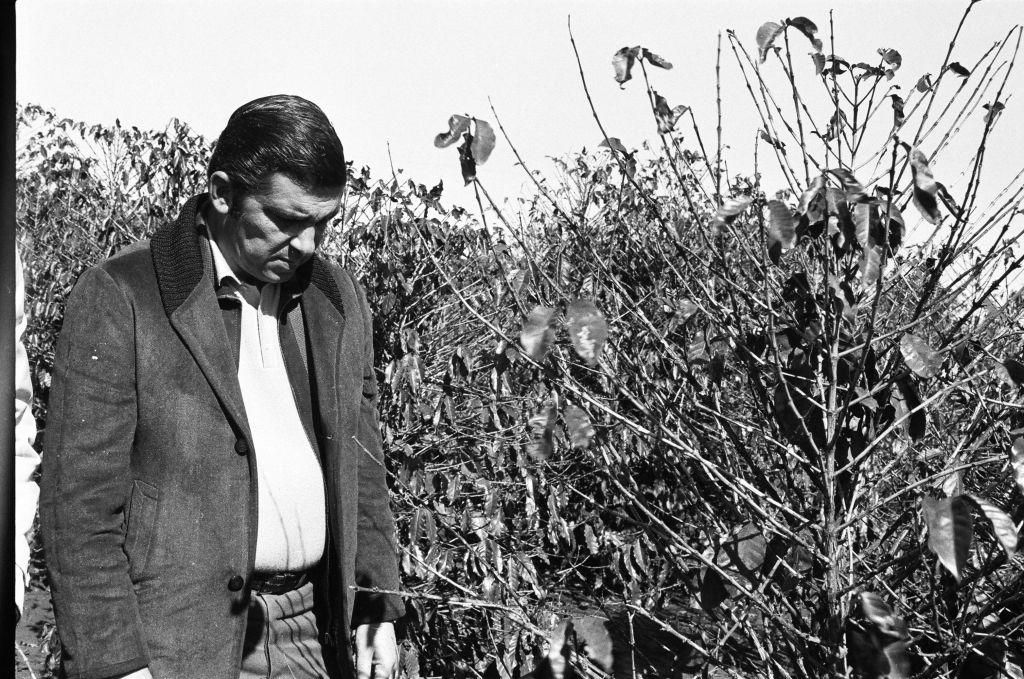 Depoimento do ex-governador Jayme Canet Jr.: momento emocionante | Arquivo