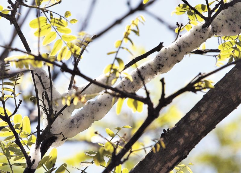 | Valterci Santos/Gazeta do Povo