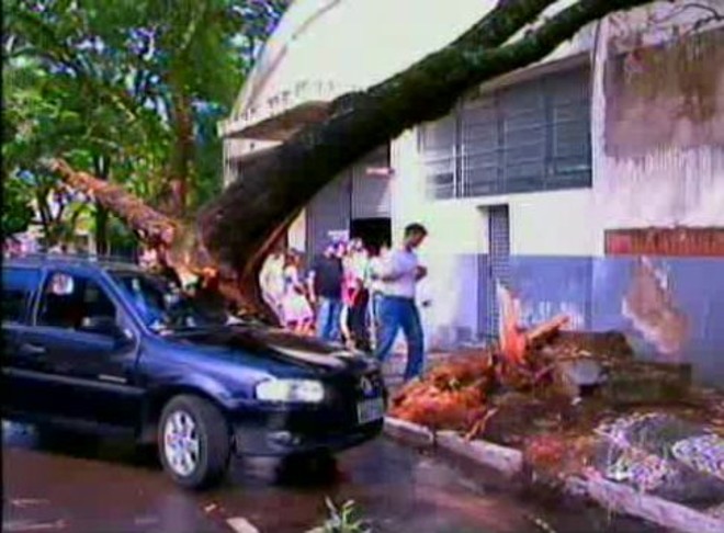 Uma árvore caiu em cima de um veículo em Paranavaí, que foi arrastado para o outro lado da rua com o impacto | 