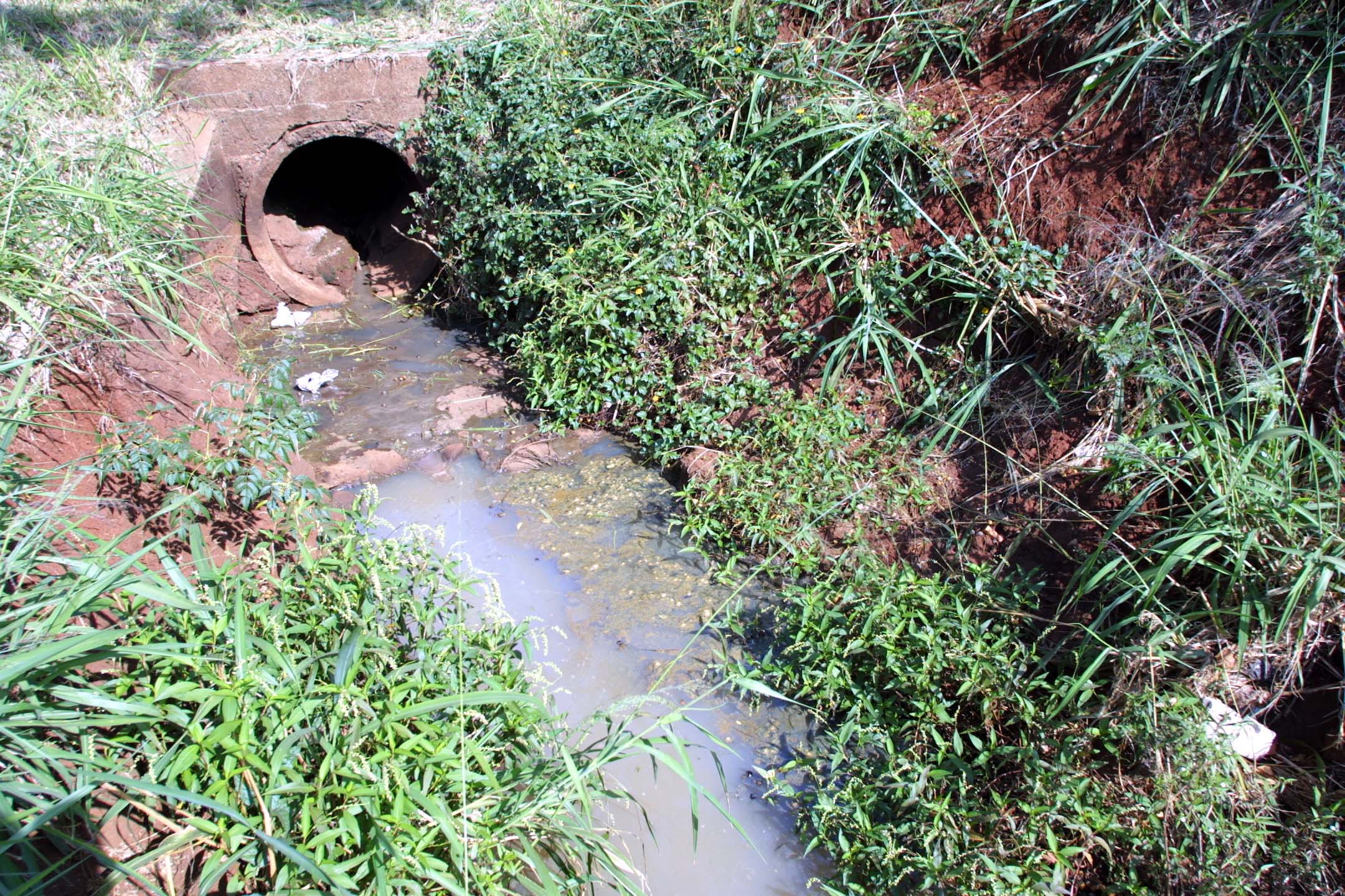 O Ribeirão Cambé foi um dos rios monitorados durante a pesquisa que durou dois anos | Roberto Custódio