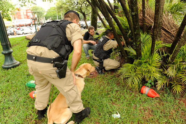 Cães vasculharam a praça central em busca de drogas | Fábio Dias/Gazeta Maringá