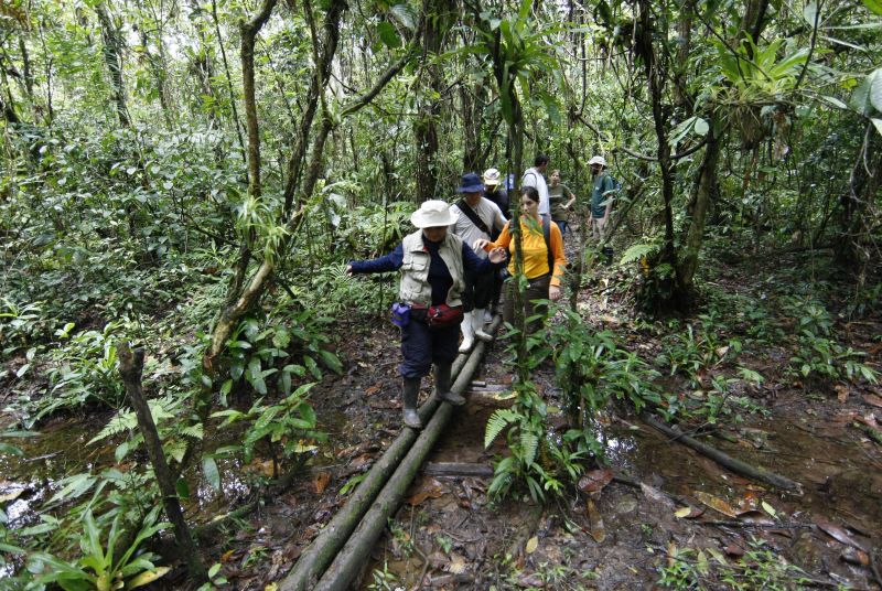 Na edição deste ano, pesquisa de campo se realiza até sexta-feira em Antonina | Fotos: Jonathan Campos/Gazeta do Povo