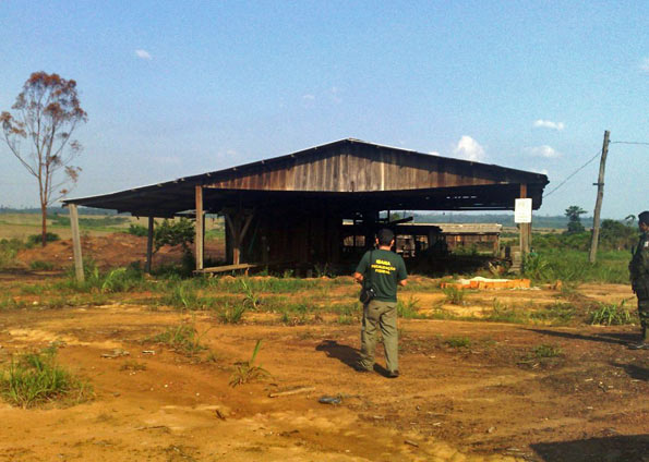 Fiscalização do Ibama em galpão de empresa de fachada | Foto: Ibama/ Divulgação