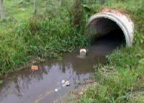 A manilha que deveria receber apenas água da chuva, é o destino do esgoto de quase 3 mil casas | Reprodução Paraná TV