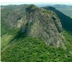 | Reprodução /TV Globo