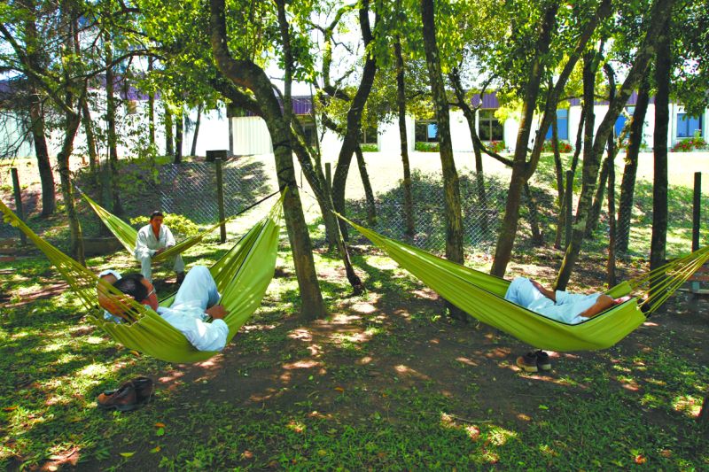 No intervalo, funcionários descansam nas redes espalhadas pela Novozymes | Daniel Castellano / Gazeta do Povo