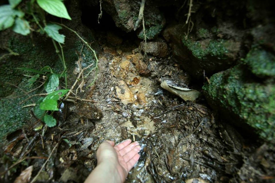 No caminho dos mananciais Uma das nascentes do Rio Miringuava que brota na propriedade de Nelson Koggy, em São José dos Pinhais. Preservar a água não rende um centavo ao agricultor | Priscila Forone / Gazeta do Povo