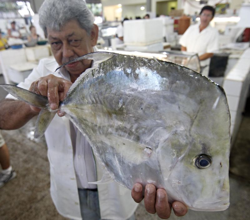 Acir Dino, pescador há 36 anos, ensina que peixe fresco deve estar com as guelras vermelhas e olhos brilhantes | Albari Rosa / Gazeta do Povo