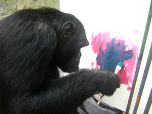 Dom de pintar do chimpanzé foi descoberto por Roched Seba este ano | Foto: Divulgação / Zoonit
