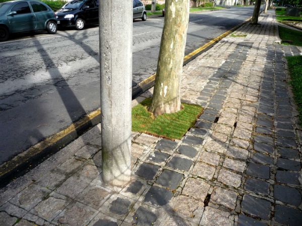 | Colaboração do leitor Álvaro Antunes