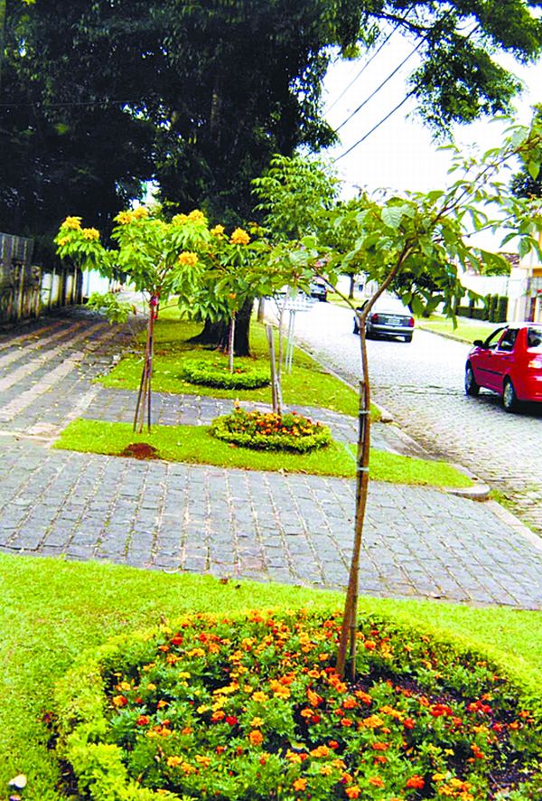 | Luiz Alfredo Malucelli