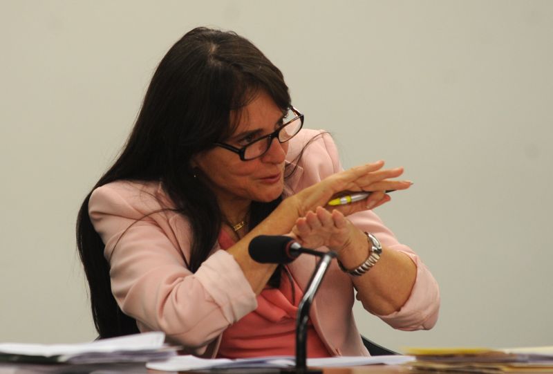 Serys Slhessarenko: orçamento prevê um reajuste do mínimo em R$ 30 | Antonio Cruz/ABr