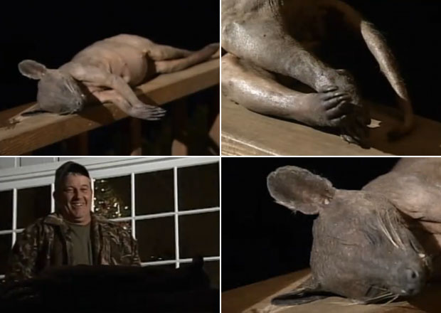 Mark Cothren mostra o corpo do suposto "chupacabras", morto no quintal de sua residência nos Estados Unidos | Foto: Divulgação/Mark Cothren