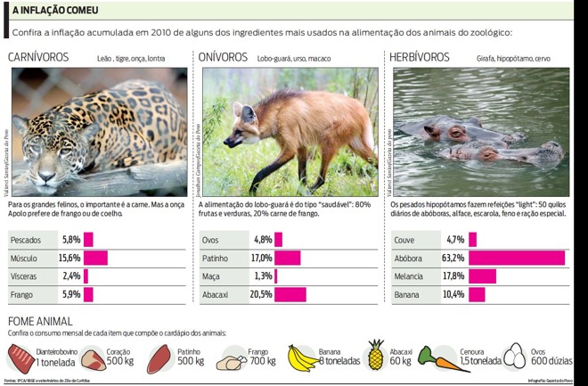 Confira a inflação dos alimentos acumulada em 2010 | 
