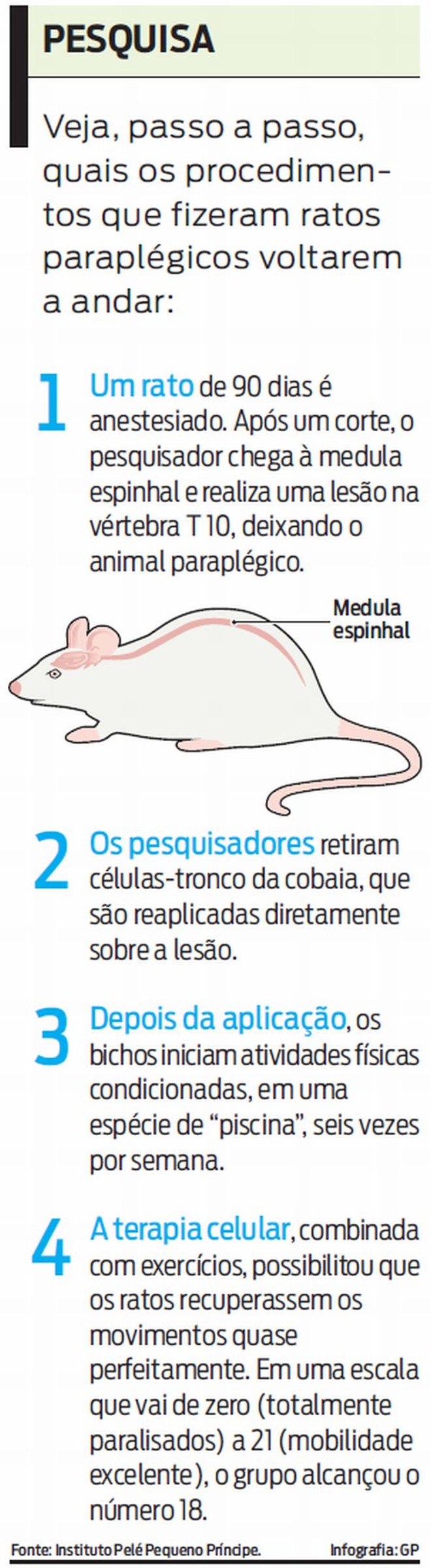 Veja os procedimentos da pesquisa | 