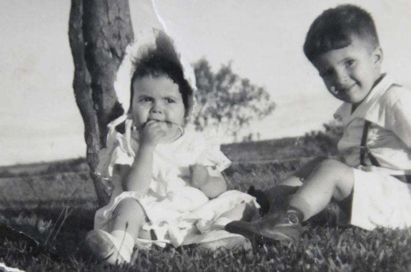Retratos da presidente: Dilma com o irmão, Igor; a turma do Colégio Sion; Passeata dos Cem Mil, no Rio; e invasão de tropas na Faculdade de Letras de Minas Gerais; em uma festa com o amigo Calino Pacheco; com Leonel Brizola, no governo do Rio Grande do Sul; ministra da Casa Civil; e na vitória pela Presidência | Arquivo Pesssoal