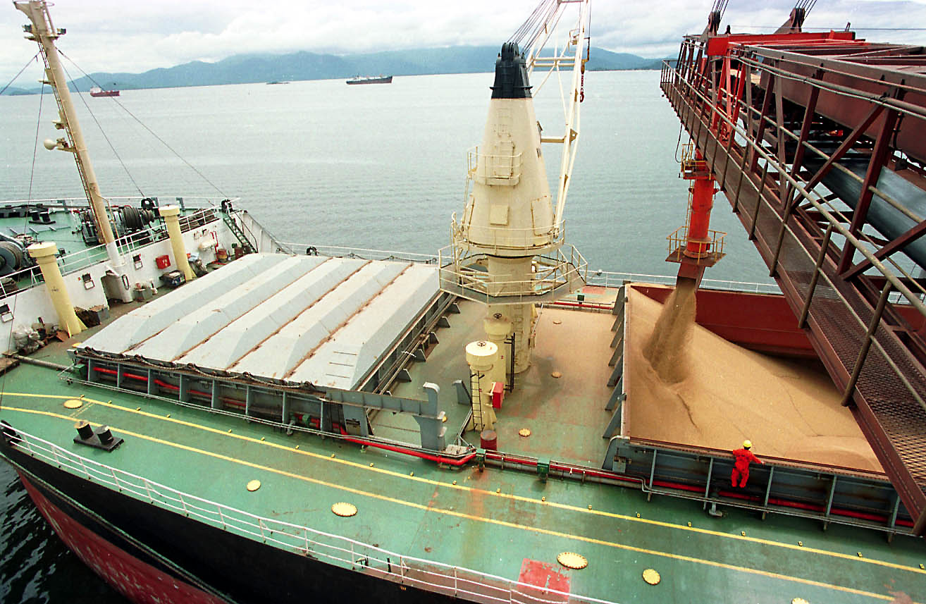 Grãos de soja foram os itens mais exportados por Maringá e pelo Paraná ao longo de 2010 | Divulgação - AEN