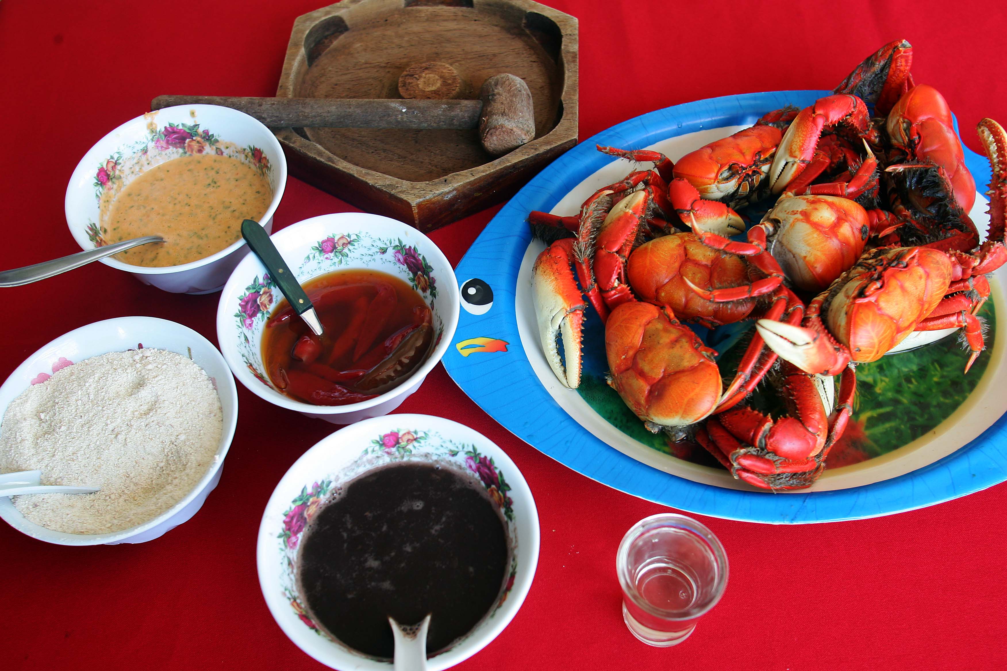 Festival vai até este domingo (22) | Hedeson Alves/ Gazeta do Povo