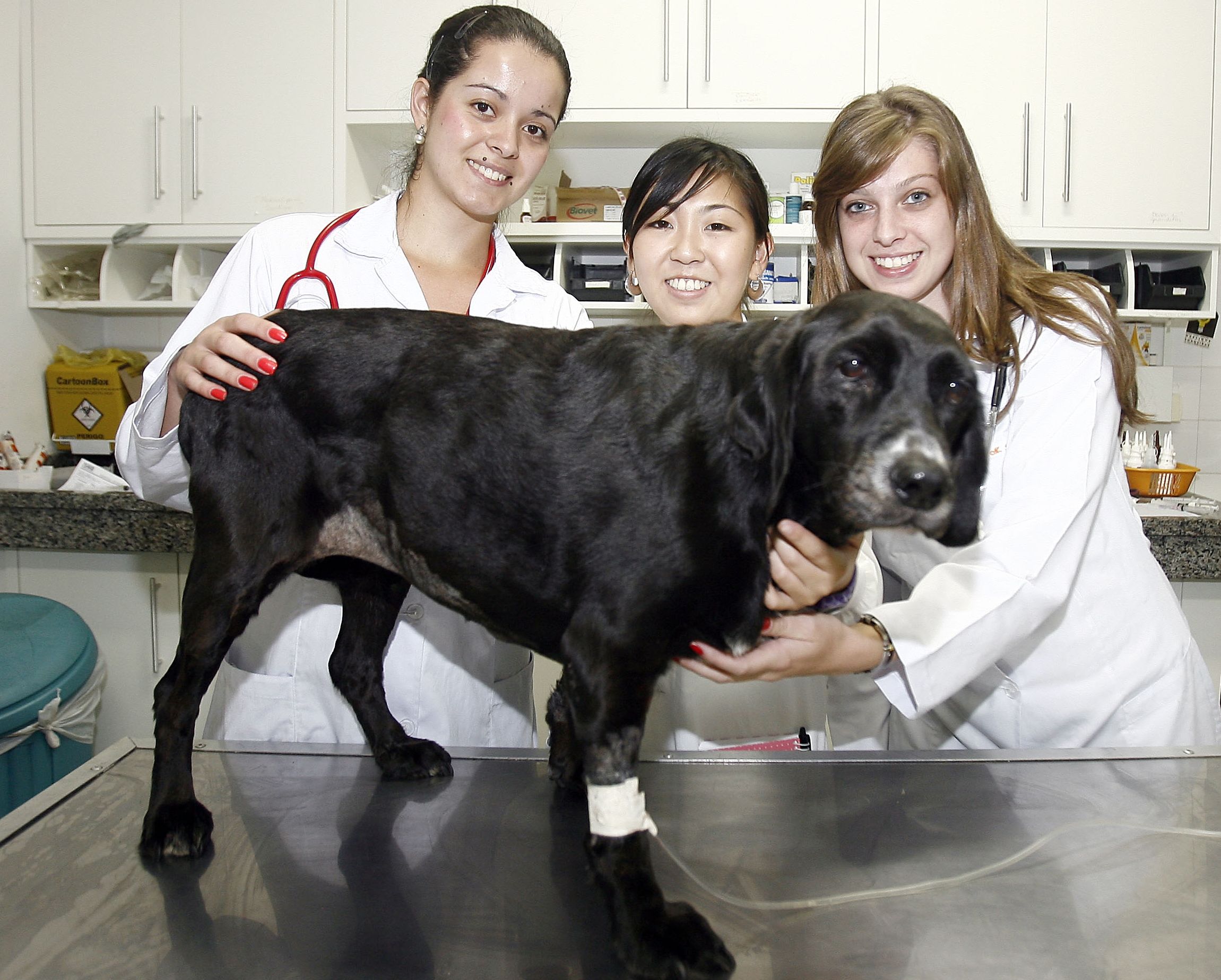 | Hedeson Alves / Gazeta do Povo