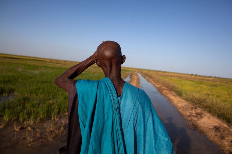 Em Beldenadji, no Mali, um canal foi construído para irrigar a terra, como parte de uma iniciativa americana. Ativistas fazem o que é possível para impedir o despejo de agricultores pobres | Tyler Hicks/The New York Times