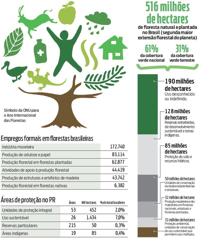 Saiba mais detalhes sobre as florestas brasileiras e áreas de proteção no PR | 