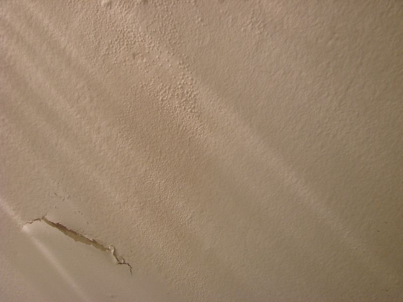 | Irinêo Baptista Netto/Gazeta do Povo