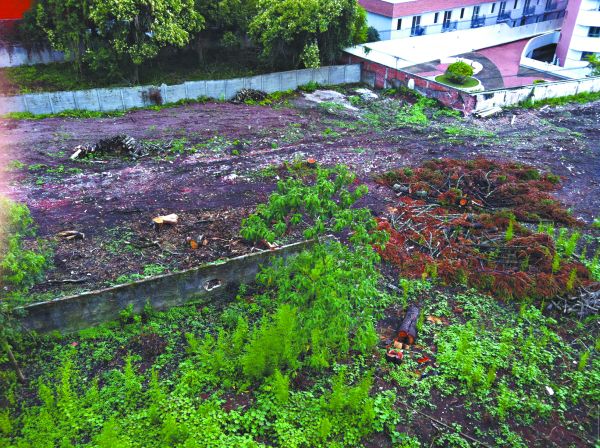 | Colaboração do leitor Nelson Souza Neto