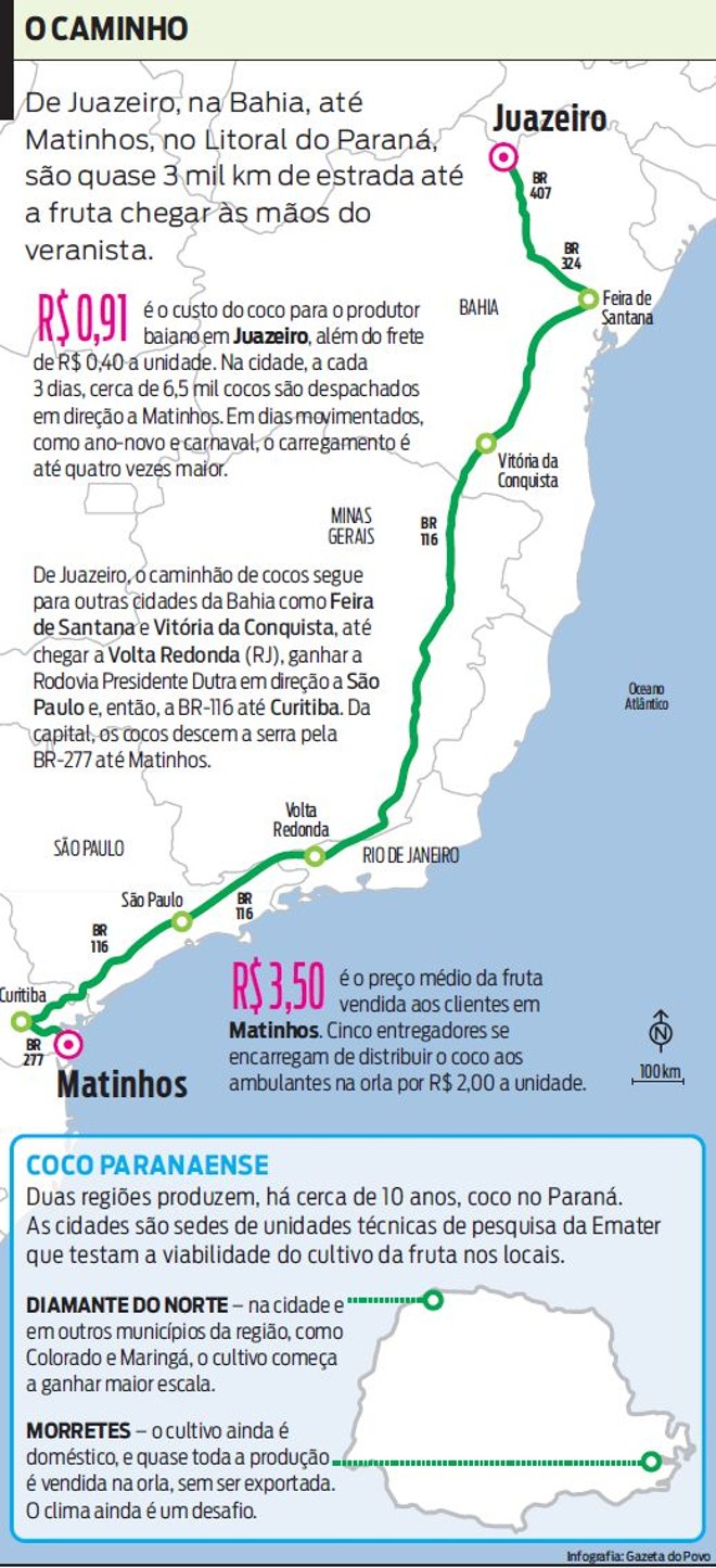 Veja o caminho que percorre o coco até chegar no Paraná |