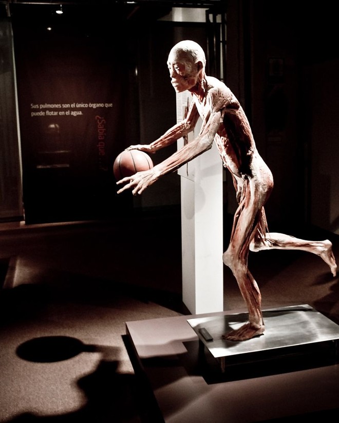 Músculos tensionados numa jogada de basquete podem ser vistos na mostra |