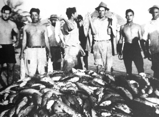 Pescadores exibem as tainhas capturadas em pesca de arrastão |