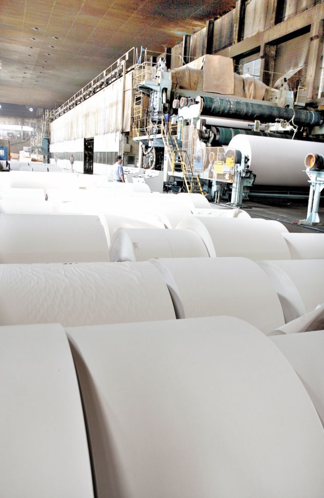 Fábrica da Norske Skog: último governo havia liberado créditos de ICMS | Henry Milleo/ Gazeta do Povo