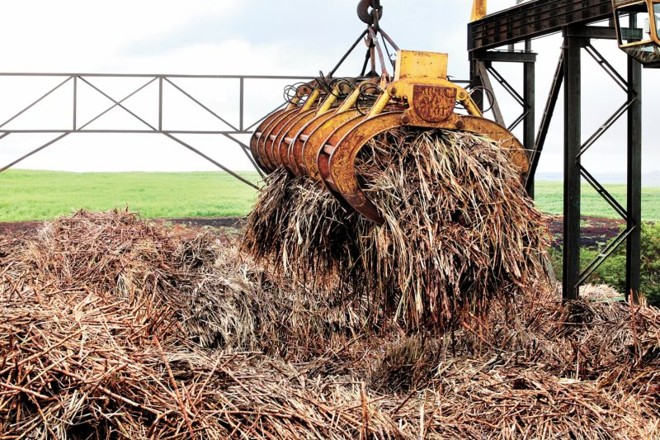 Usina de açúcar e álcool em Engenheiro Beltrão: para governo, setor sucroalcooleiro não foi capaz de segurar alta dos preços | Dirceu Portugal/ Gazeta do Povo