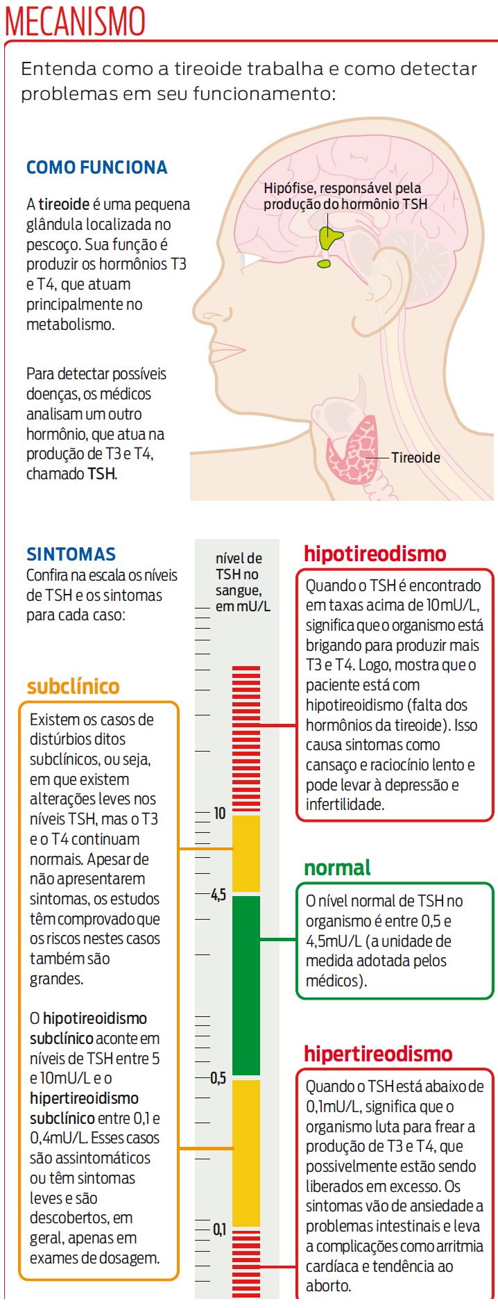 Entenda como a tireoide trabalha e como detectar problemas em seu funcionamento |