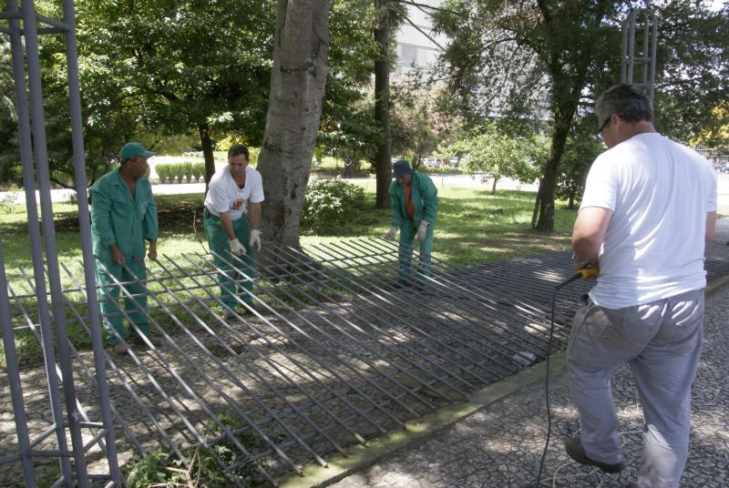 | Marco André Lima/Gazeta do Povo