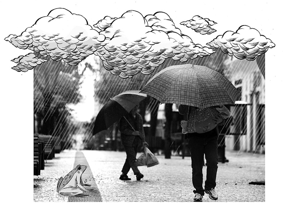  | Arte: Felipe Lima