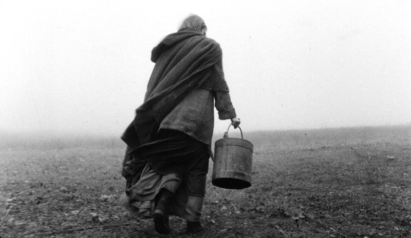The Turin Horse traz o estilo inimitável do diretor húngaro | Divulgação