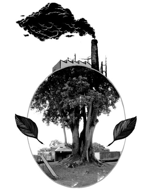 | Foto: Michele Müller / Arte: Felipe Lima