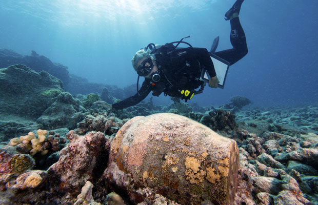 Arqueólogo marinho nada junto aos restos do Two Brothers, que pertenceu ao capitão que inspirou a história de Moby Dick | Reuters