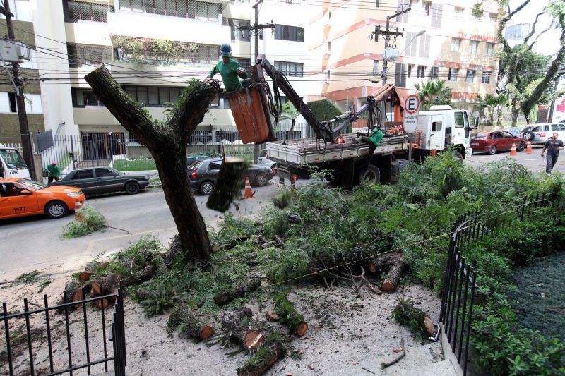 Galho é retirado da Rua Carneiro Lobo, no Batel | Maurilio Cheli/SMCS