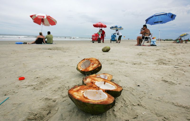 Casca de coco é um dos resíduos mais encontrados nas areias das praias do Paraná | Daniel Castellano/Gazeta do Povo