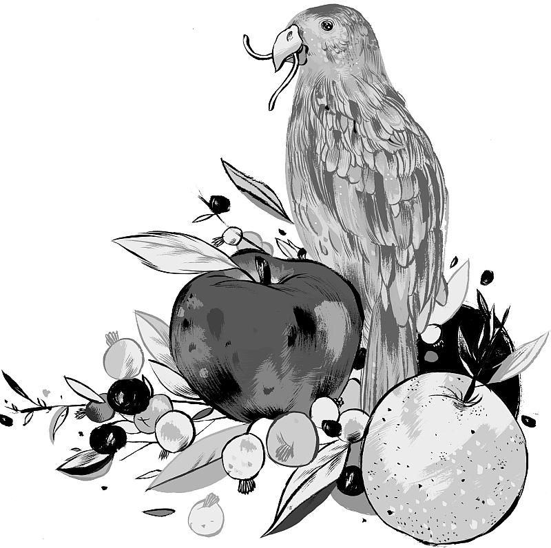 | Ilustração: Felipe Lima