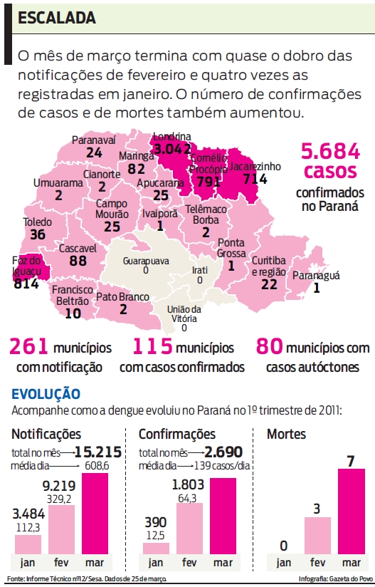 Veja o balanço da dengue no Paraná |