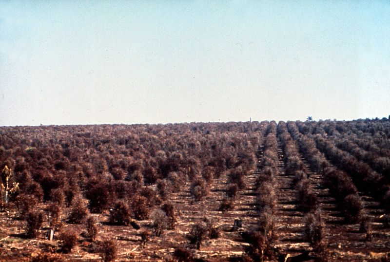 | João Urban/Divulgação