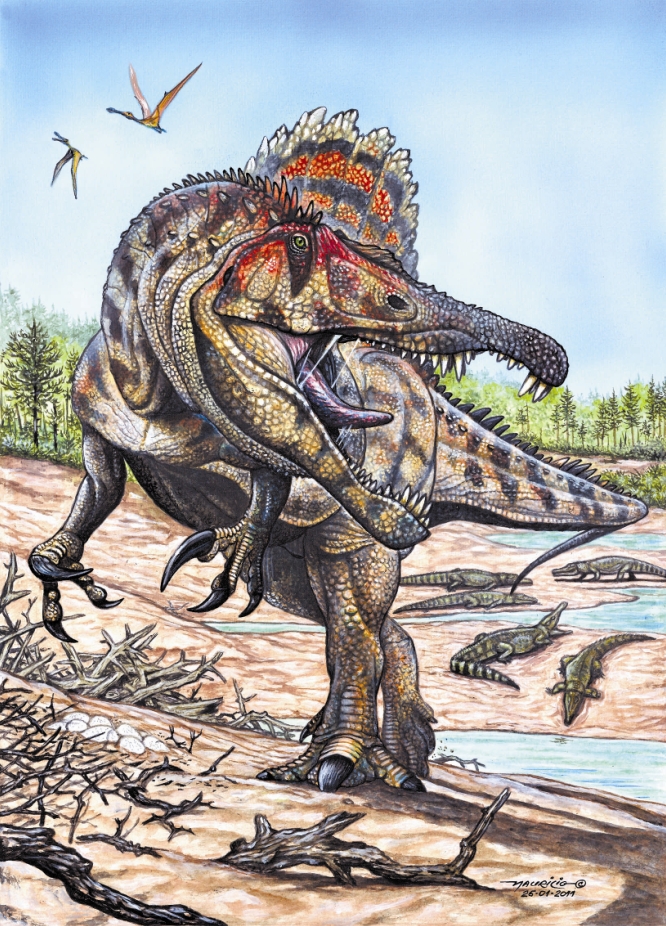 O Oxalaia quilombensis: identificação da espécie demorou 12 anos | Fotos: Museu Nacional/Divulgação