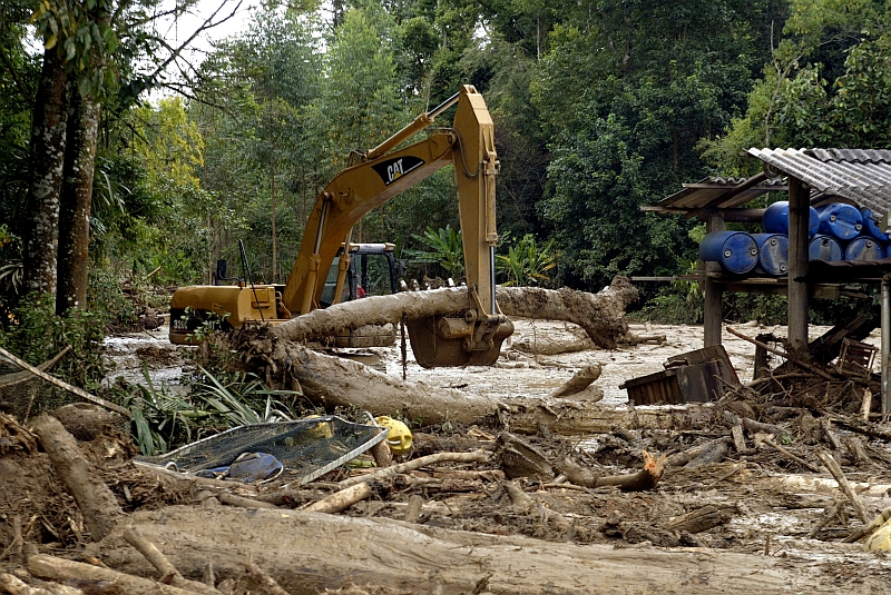 Máquinas removem mais de 20 mil metros cúbicos de madeira em áreas afetadas | Walter Alves/Gazeta do Povo