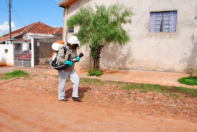 Apesar do investimento do governo no combate ao mosquito, seis municípios do Paraná entraram em situação de surto e quase 3 mil casos foram confirmados | 