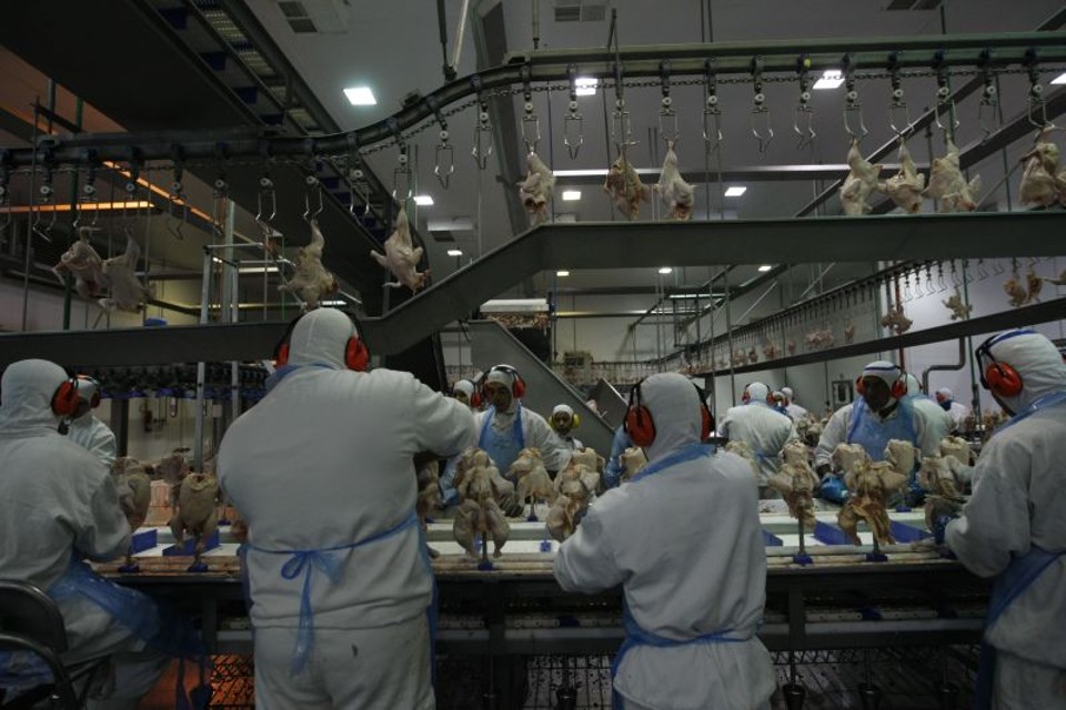 China amplia aval para carne brasileira Abatedouro no Paraná: habilitações devem aumentar vendas à China | Arquivo / Gazeta do Povo
