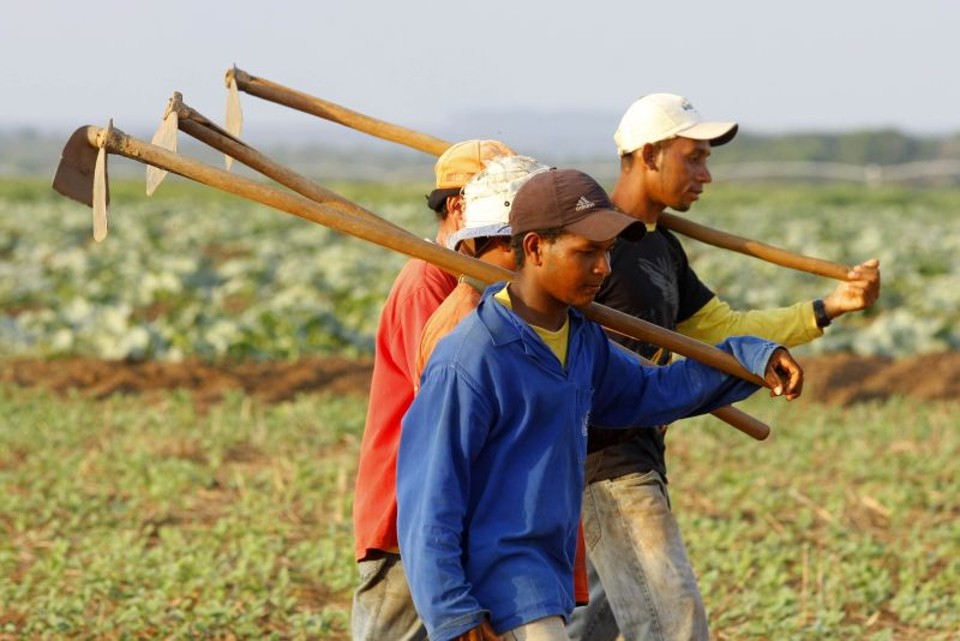 Criação de vagas despenca 65% Com aumento de 2,3% no total de empregados, a agropecuária foi um dos destaques da geração de empregos no Paraná | Hugo Harada / Gazeta do Povo