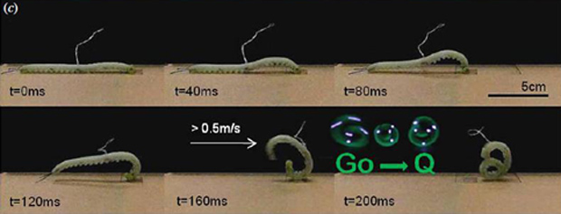 Robô GoQBot faz o movimento de rolamento balístico | Foto: Bioinspiration and Biomimetics / Reprodução